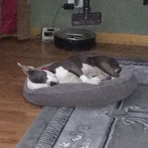 Meet your Posher, Edward